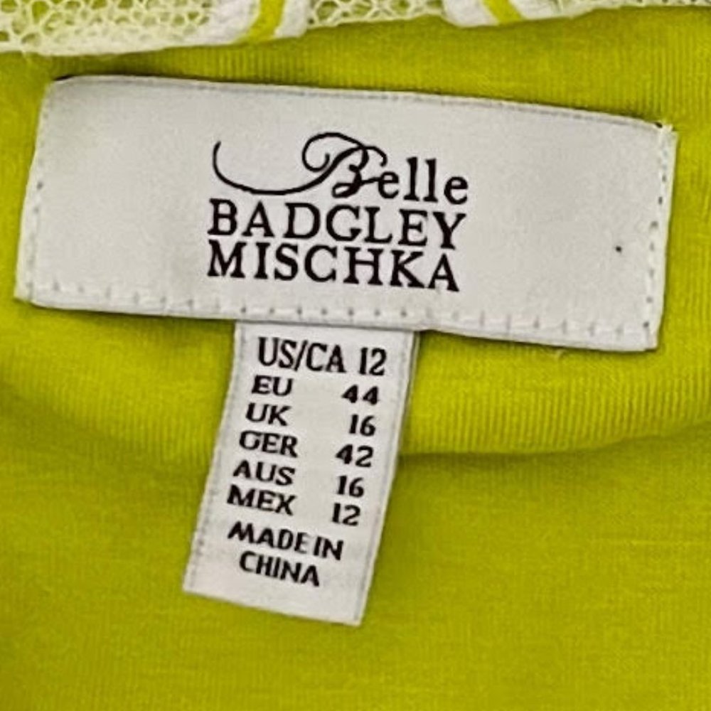 Bell Badgley Mischka Size 12 Pea Green Floral Mesh Sleeveless Crewneck Dress - Picture 6 of 8